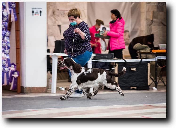 Bredbery Knit OwnWay на выставке