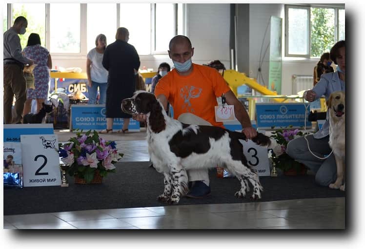 Bredbery Knit OwnWay на соревнованиях