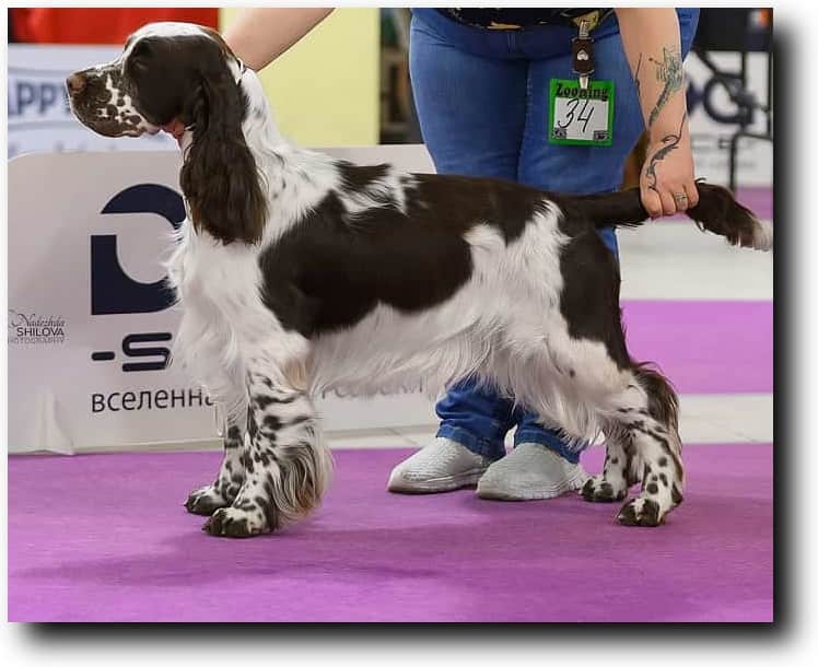 Выступление Bredbery Knit OwnWay