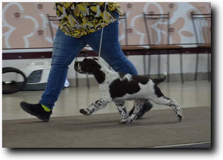 Bredbery Knit OwnWay 3 месяца