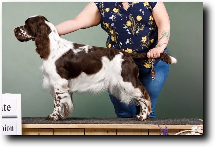 Bredbery Knit OwnWay