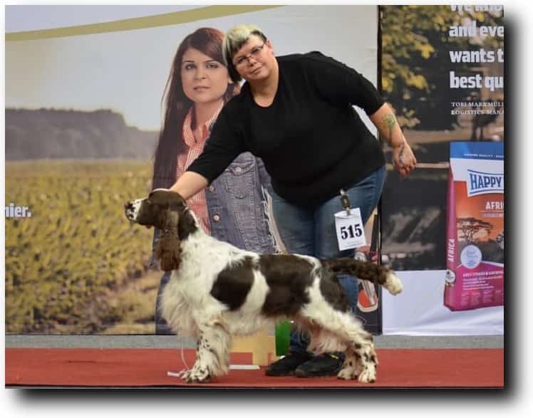 На выставке