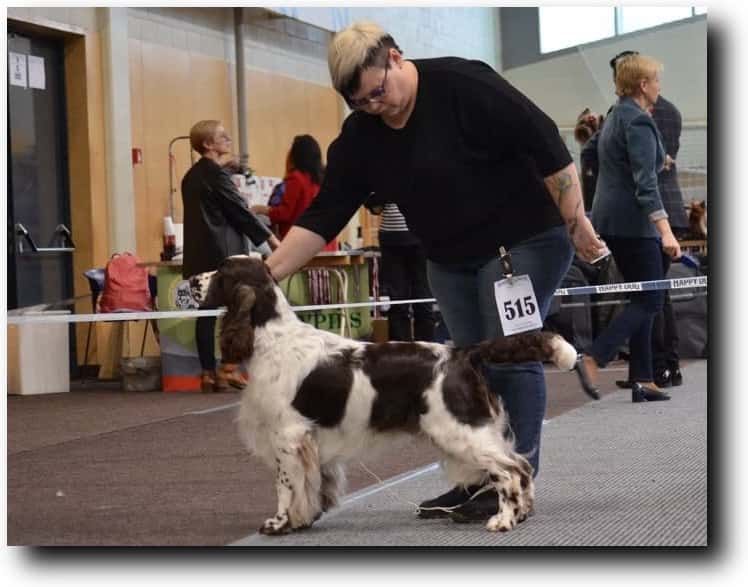 Foxberryhill's Part Of Me, питомник Viat Galena