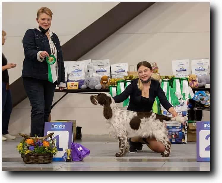 Bredbery Kiss Or  Wish