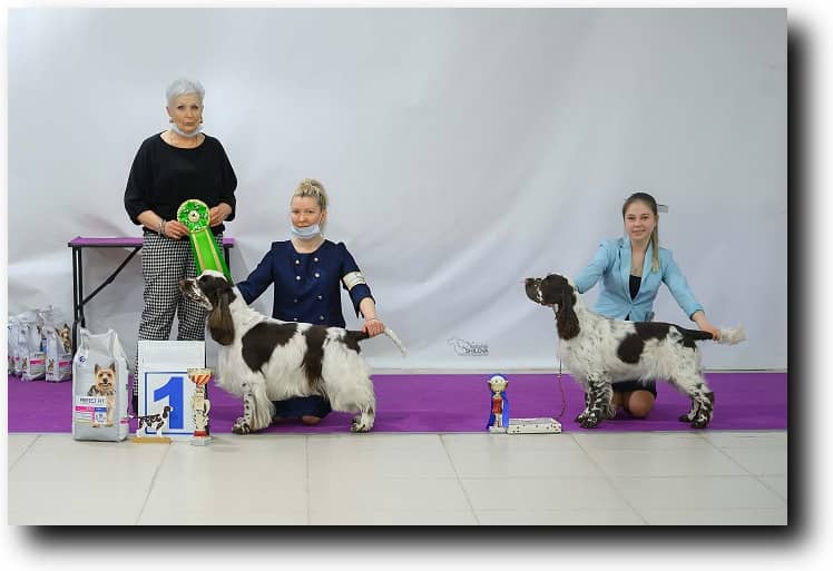 Bredbery Kiss Or  Wish