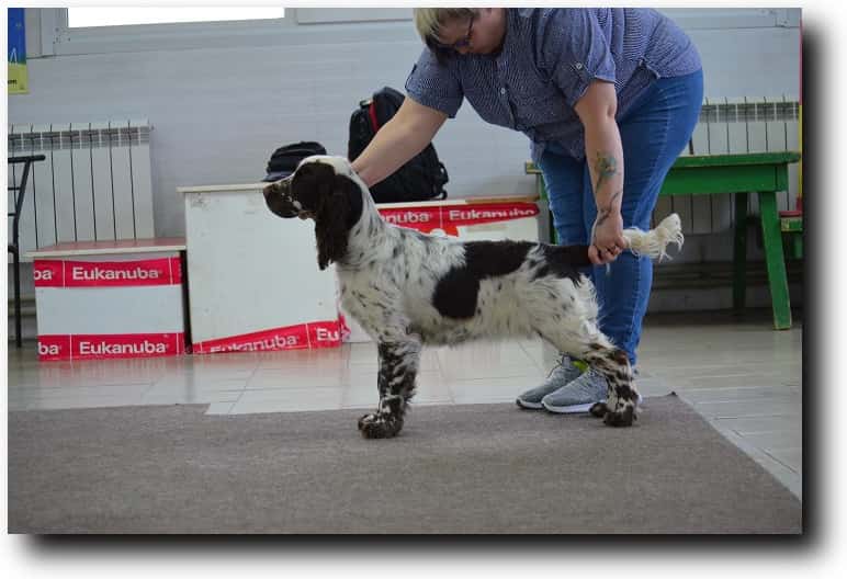 Bredbery Kiss Or  Wish на выставке