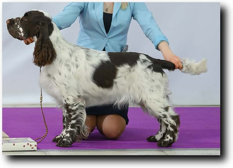 На выставке